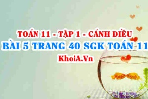 Bài 5 trang 40 SGK Toán 11 tập 1 Cánh Diều